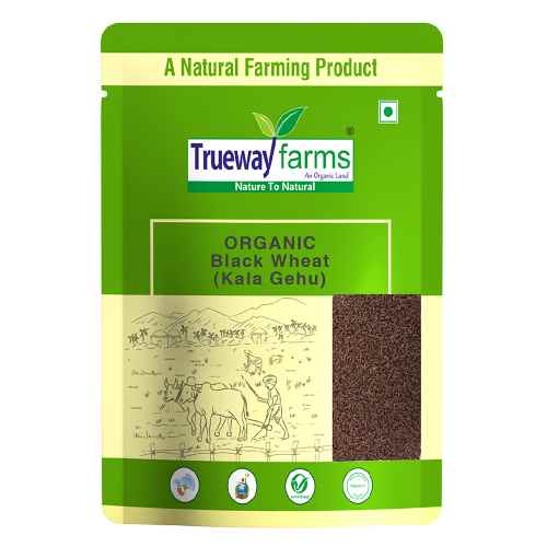 Black wheat, kala gehu, grain, organic gehu, natural grain